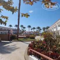 фото из отзыва ID 2585693