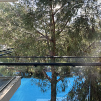 фото из отзыва ID 2585748