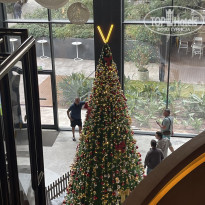 фото из отзыва ID 2585748