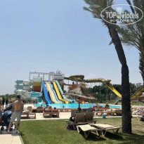 фото из отзыва ID 2585749