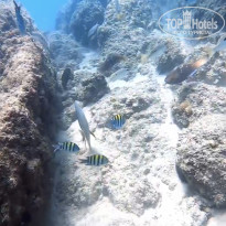 фото из отзыва ID 2585955