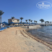 фото из отзыва ID 2585629