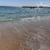 фото из отзыва ID 2585629