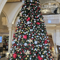 фото из отзыва ID 2586075