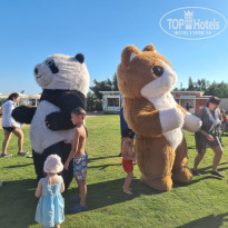 фото из отзыва ID 2586110