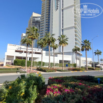 фото из отзыва ID 2586124