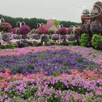 фото из отзыва ID 2586124