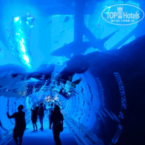 фото из отзыва ID 2586124