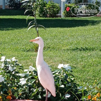 фото из отзыва ID 2586344