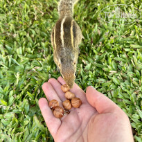 фото из отзыва ID 2586515