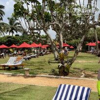 фото из отзыва ID 2586515