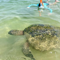 фото из отзыва ID 2586515