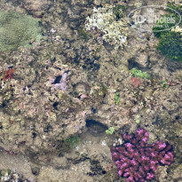 фото из отзыва ID 2586515