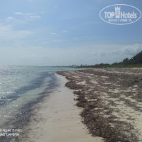 фото из отзыва ID 2586603