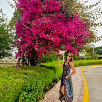 фото из отзыва ID 2586612