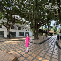 фото из отзыва ID 2586669