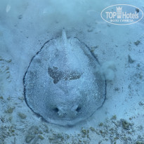 фото из отзыва ID 2586675