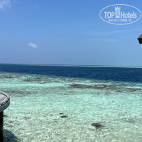 фото из отзыва ID 2586675