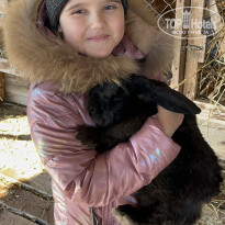 фото из отзыва ID 2586676