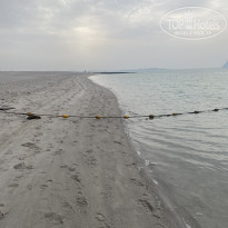 фото из отзыва ID 2586855