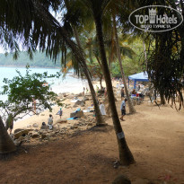 фото из отзыва ID 2586864