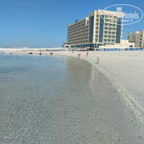 фото из отзыва ID 2587023