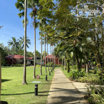 фото из отзыва ID 2587066