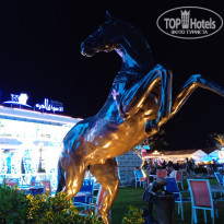 фото из отзыва ID 2586955