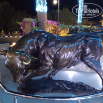 фото из отзыва ID 2586955