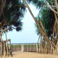 фото из отзыва ID 2587544