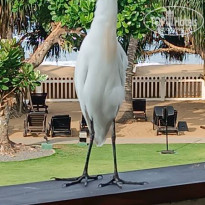 фото из отзыва ID 2587544