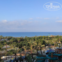 фото из отзыва ID 2587576