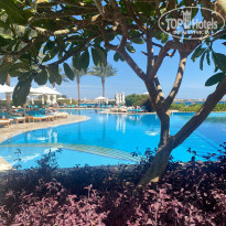 фото из отзыва ID 2587776