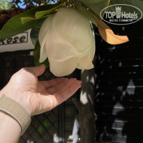 фото из отзыва ID 2586564