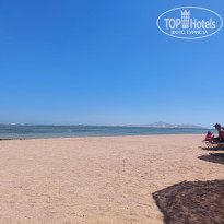 фото из отзыва ID 2587909