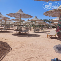 фото из отзыва ID 2587909