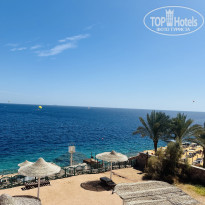 фото из отзыва ID 2587941