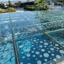 фото из отзыва ID 2587938