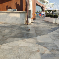 фото из отзыва ID 2588129