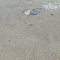 фото из отзыва ID 2588129