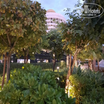 фото из отзыва ID 2588177