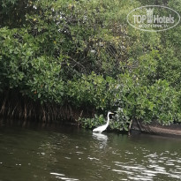 фото из отзыва ID 2588256