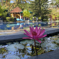 фото из отзыва ID 2588321