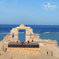 фото из отзыва ID 2588353