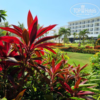 фото из отзыва ID 2588509