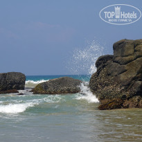 фото из отзыва ID 2588509