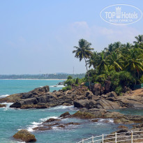 фото из отзыва ID 2588509