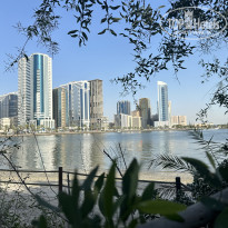 фото из отзыва ID 2588587