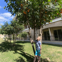 фото из отзыва ID 2588737