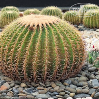 фото из отзыва ID 2588596